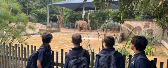 Year 7 Zoo excursion